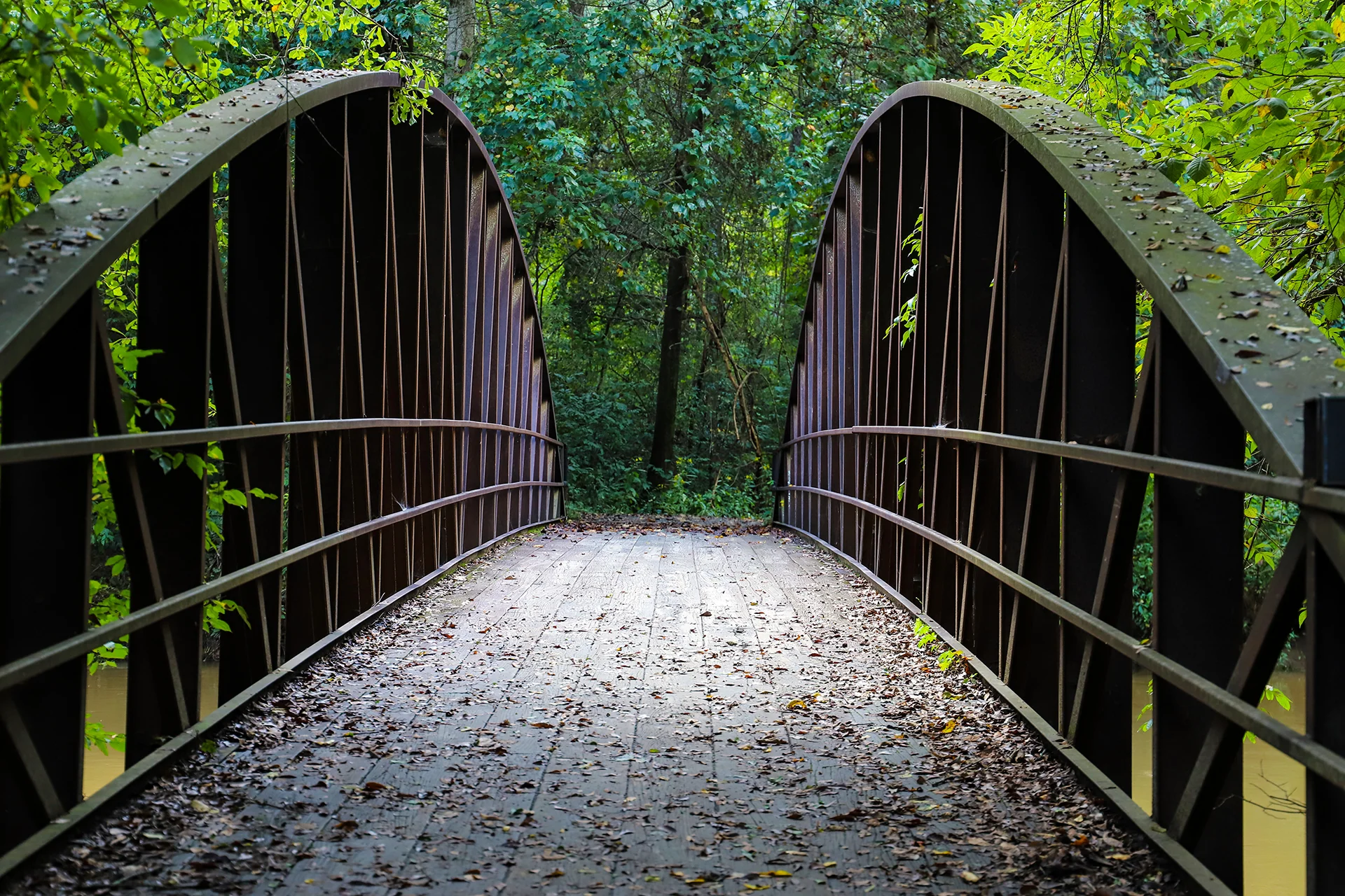 nearby web design agency showing leaf-covered bridge in cochran shoals trail marietta