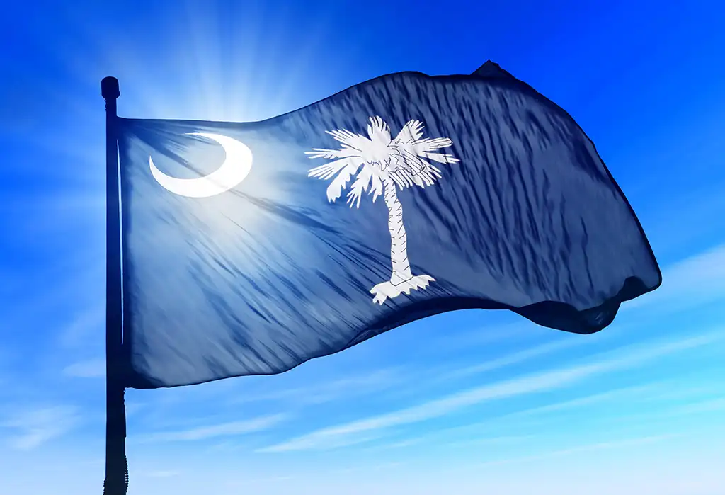 South Carolina web design agency with nearly 30 years of experience proudly displaying palmetto state flag in the wind